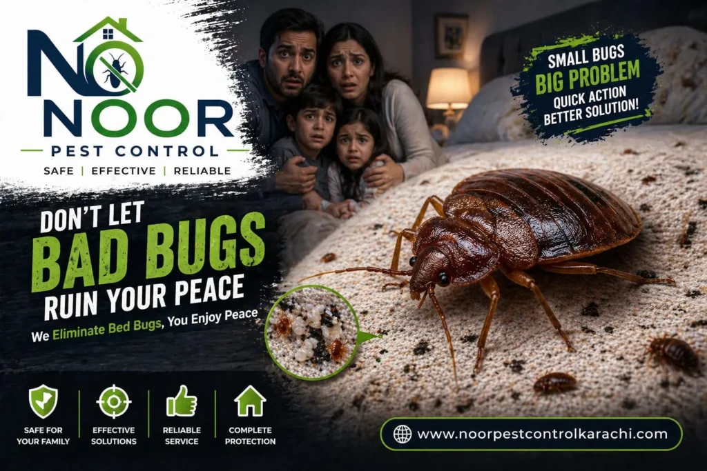 Bed Bug Treatment Services in Karachi​