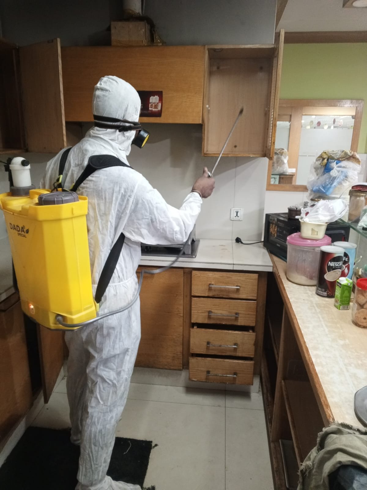 5 Signs You Have Termites (Before It’s Too Late)