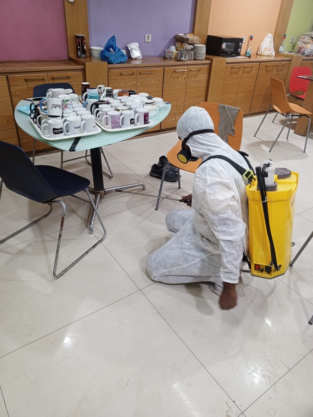 Bed Bug Treatment Services in PECHS Karachi