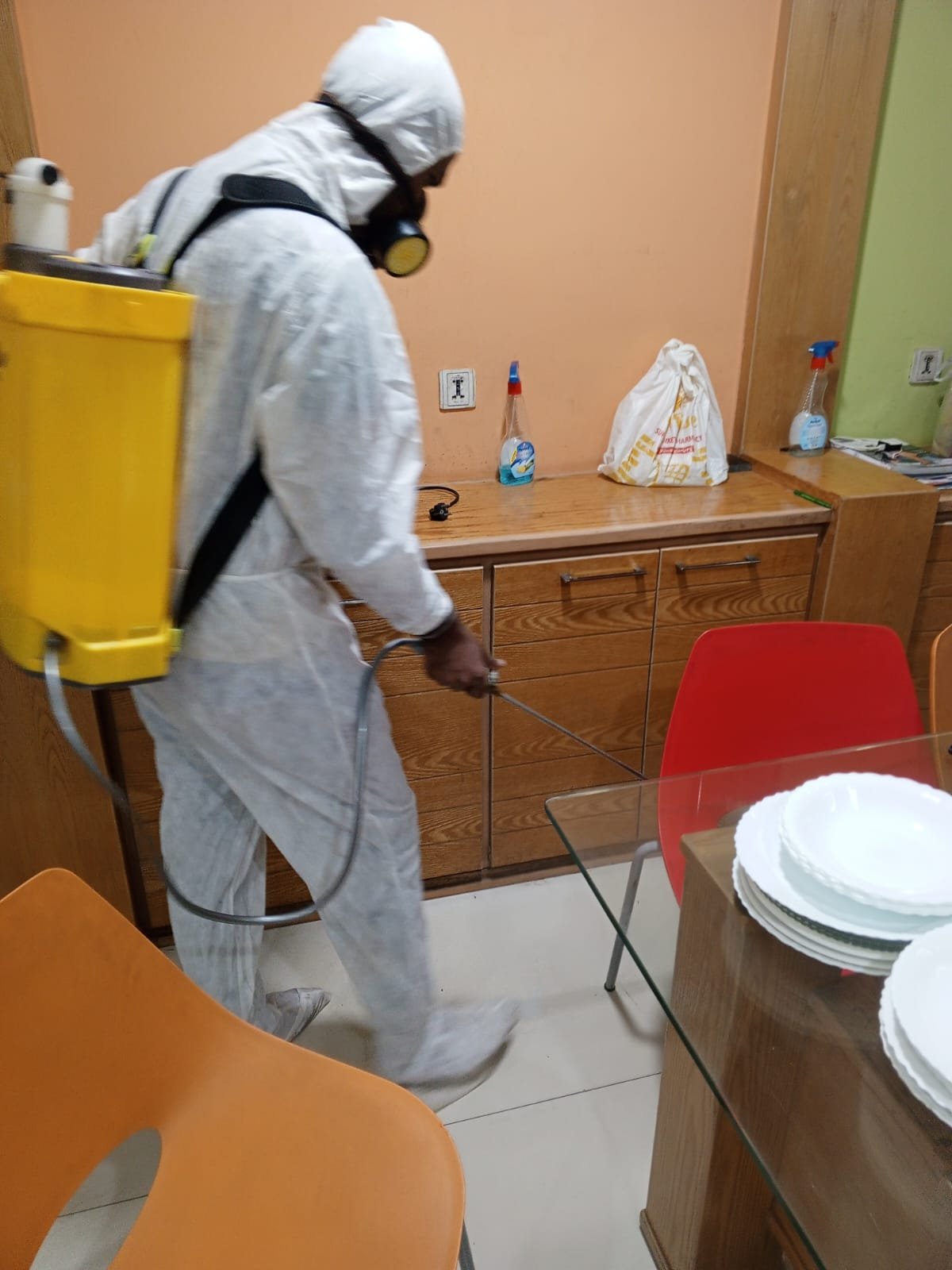 Bed Bug Treatment Services in Saddar Karachi