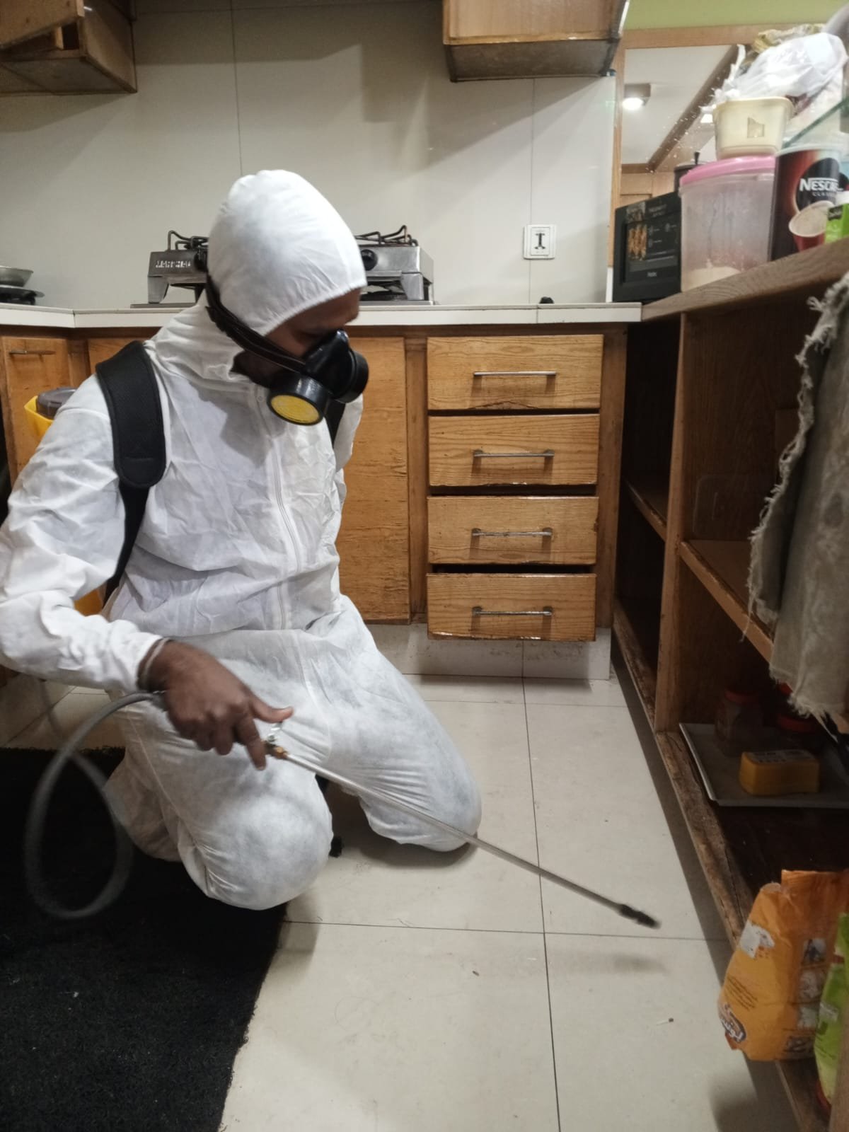 Bed Bug Treatment Services in Saddar Karachi