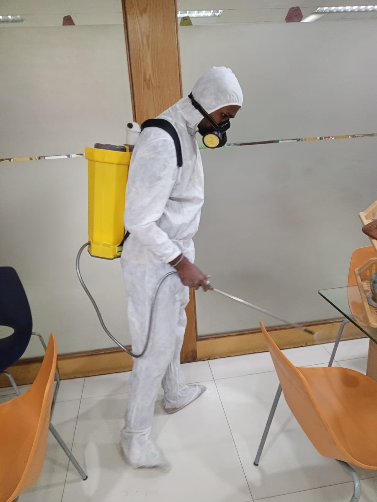 Bed Bug Treatment Services in Nazimabad Karachi
