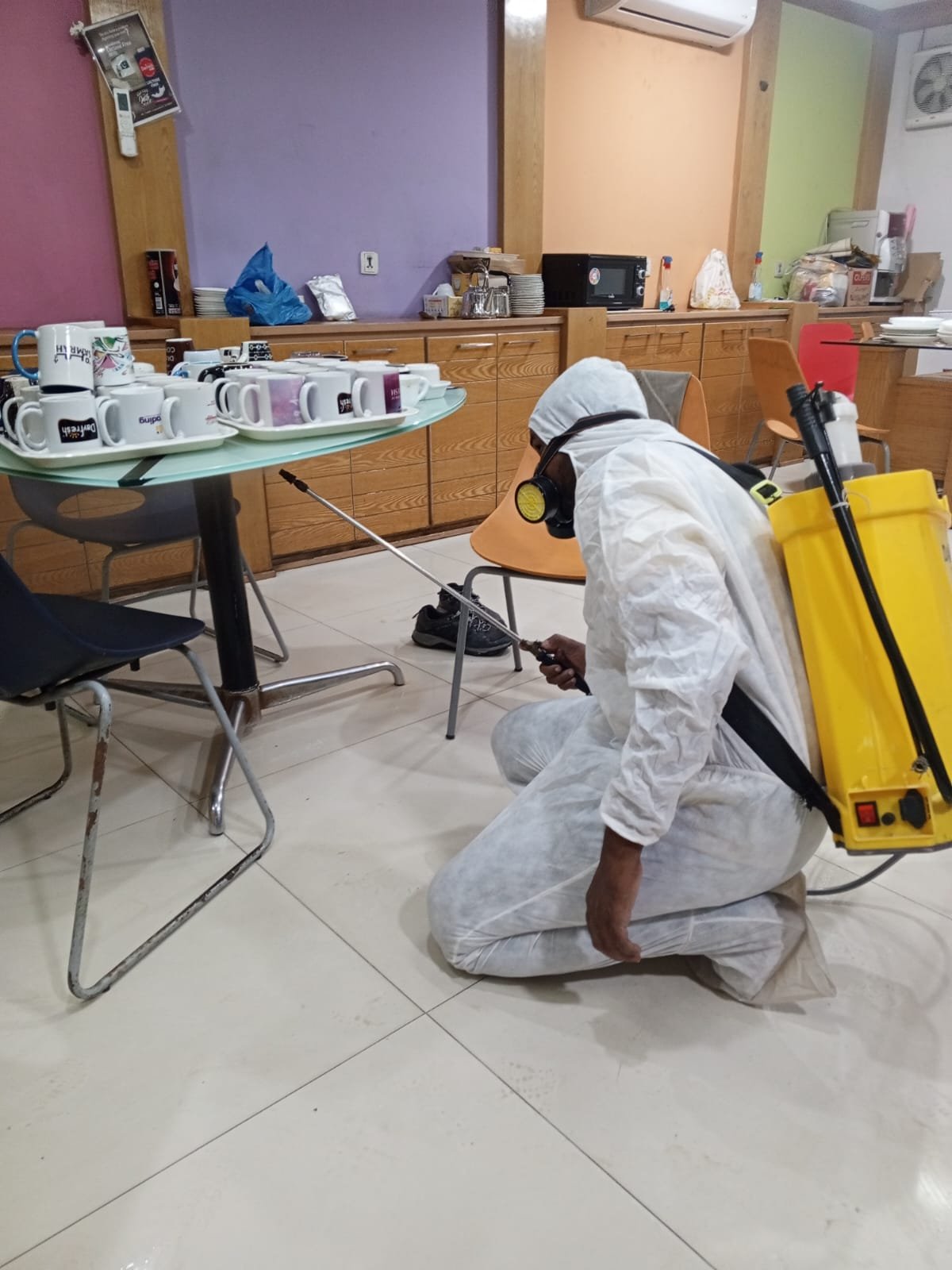Professional Pest Control in Clifton Karachi