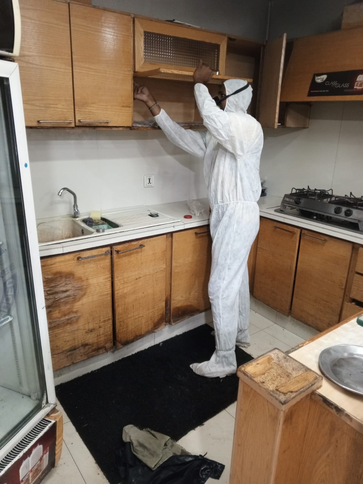 Cockroach Control Services in DHA Karachi