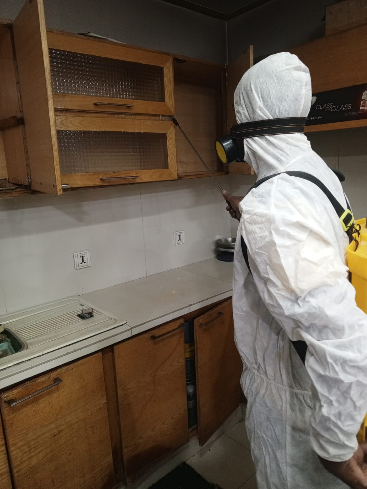 SAME DAY PEST CONTROL SERVICE IN GULSHAN KARACHI