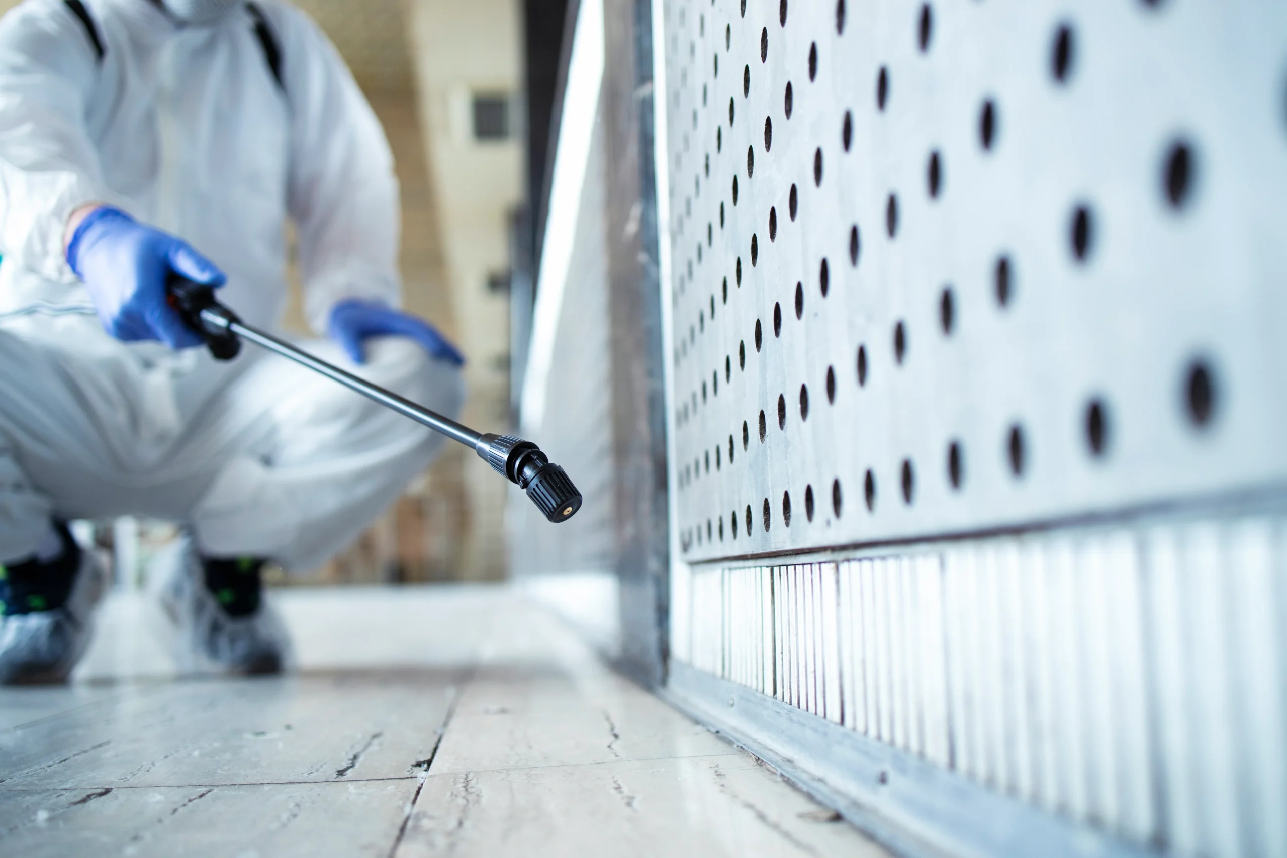 Cockroach Control Services in Clifton Karachi