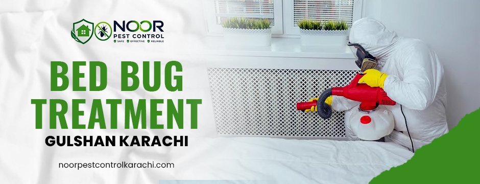 Bed Bug Treatment Gulshan Karachi