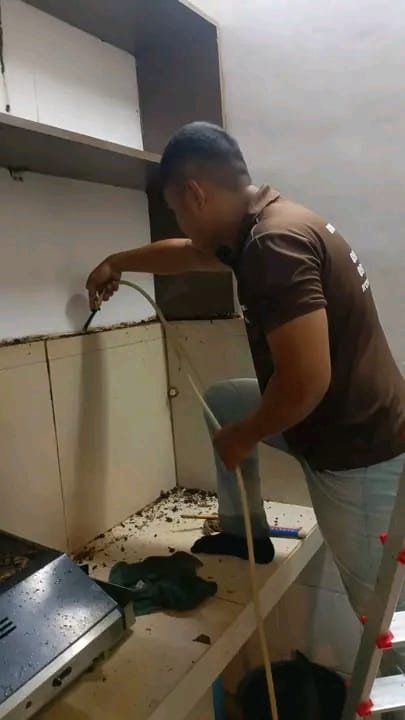 Commercial Pest Control Karachi