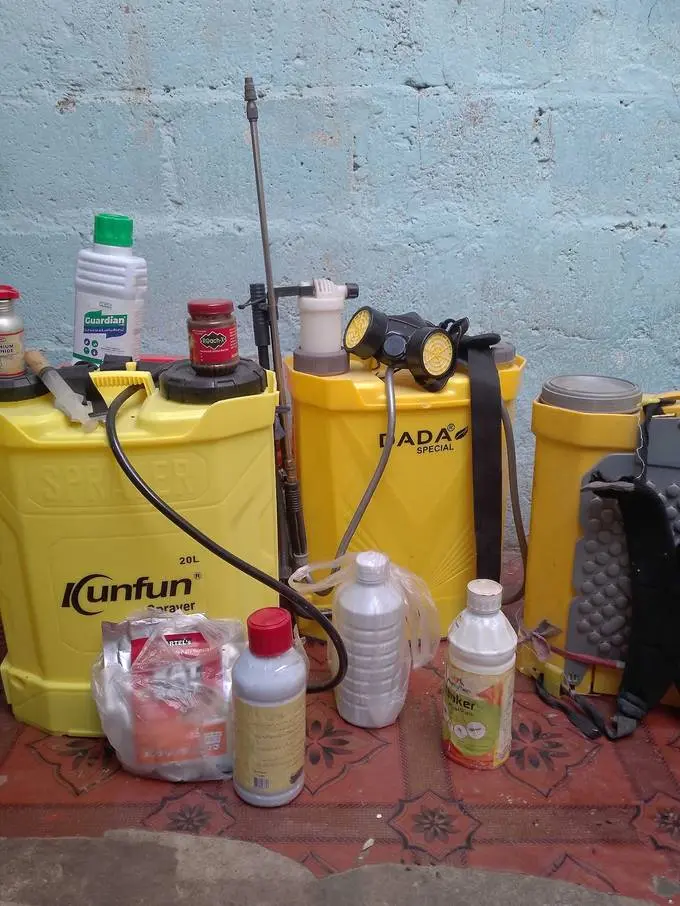 Noor Pest Control team carrying out professional pest control treatment in Karachi