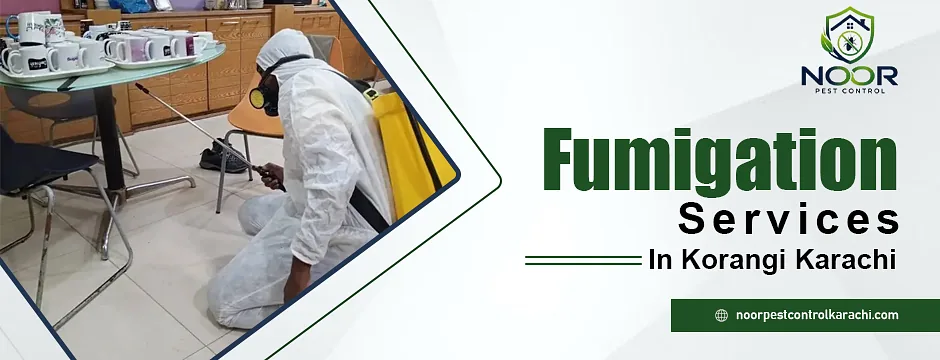 Fumigation Services in Korangi Karachi