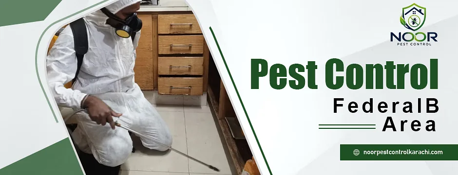 Pest Control Federal B Area - Noor Pest Control