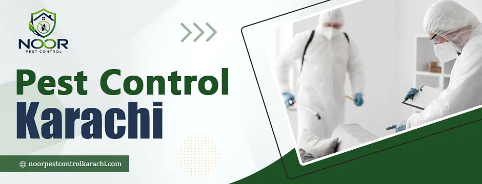 Pest Control Karachi