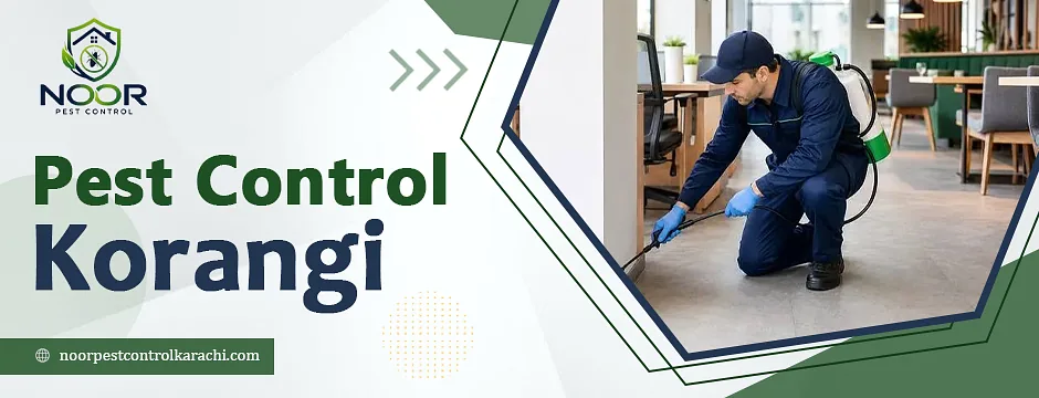 Pest Control Korangi - Noor Pest Control