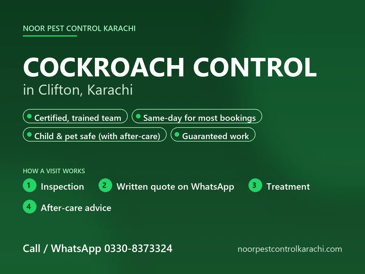 Cockroach control in Clifton, Karachi - Noor Pest Control