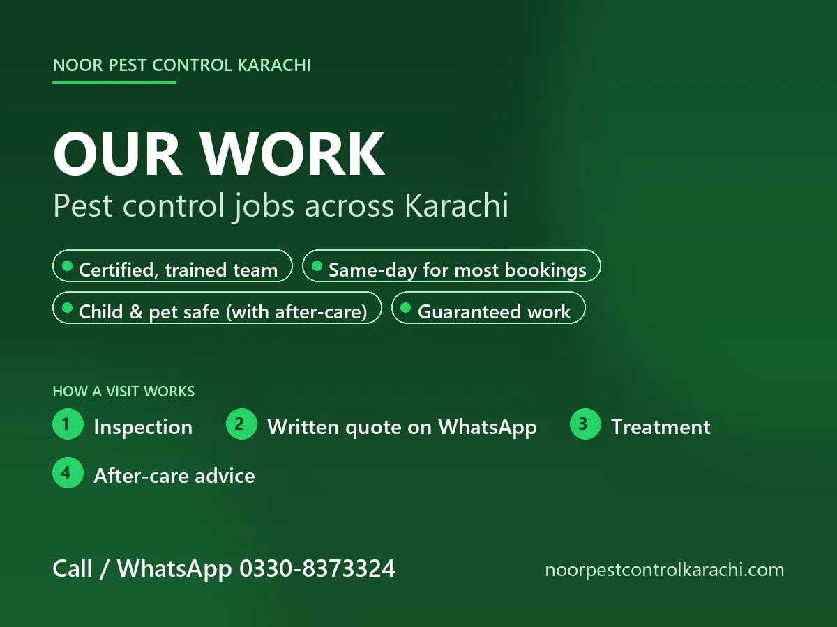 Noor Pest Control work across Karachi - Noor Pest Control